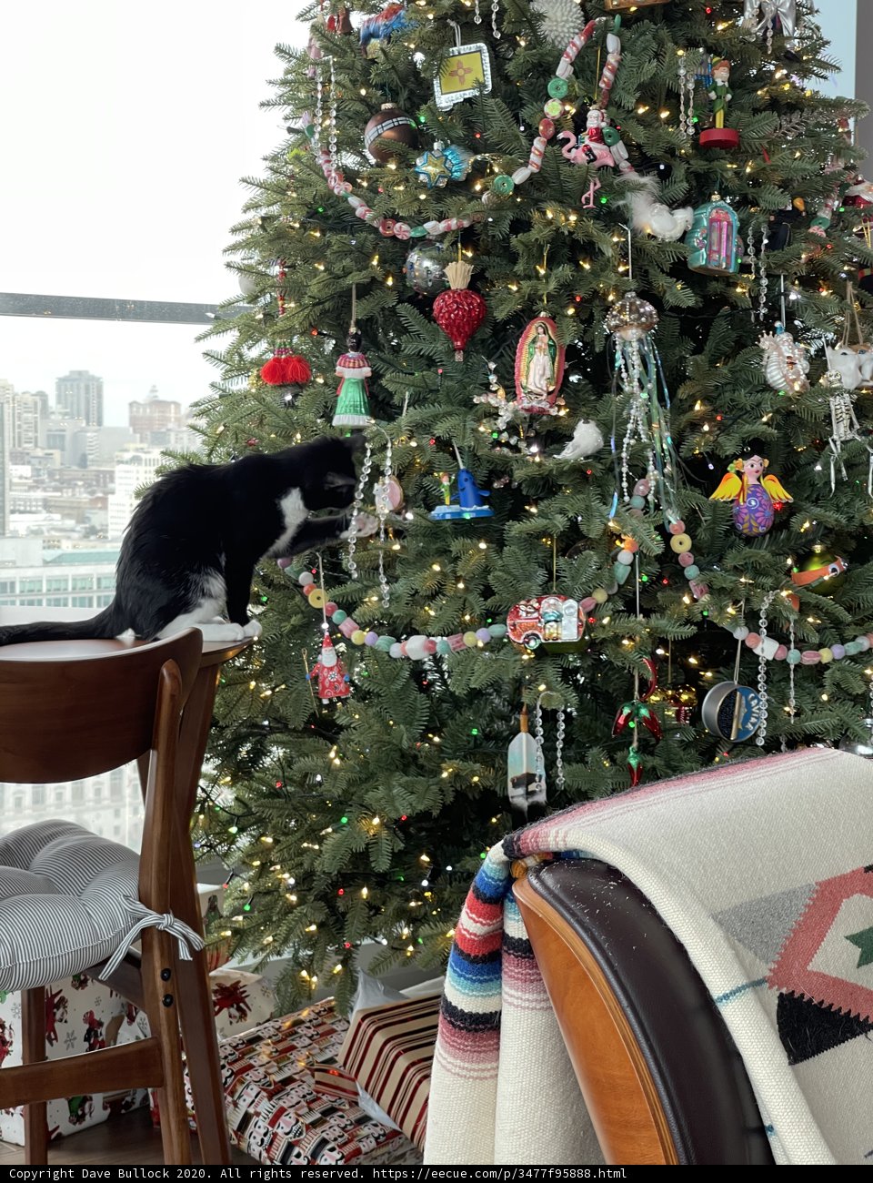 Christmas Cat by the Tree
