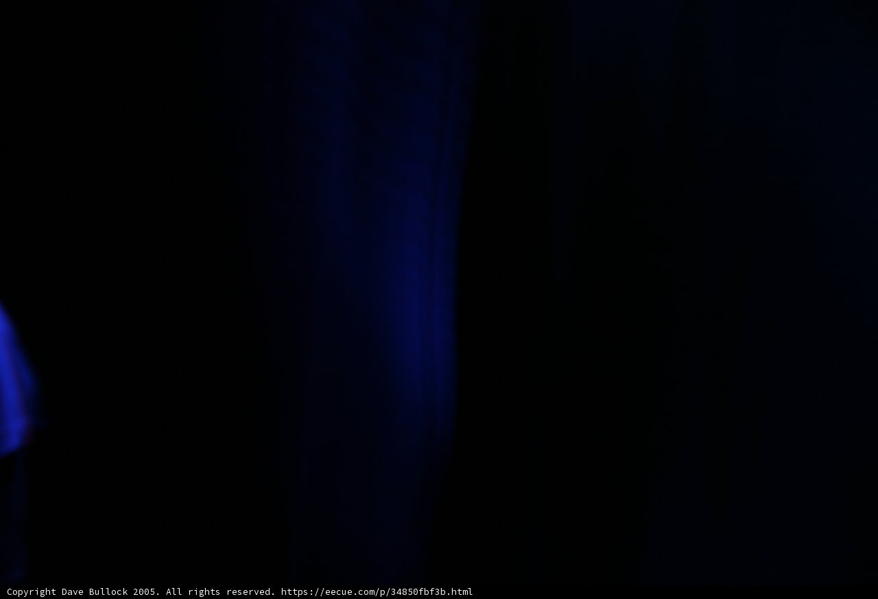 The Spotlight