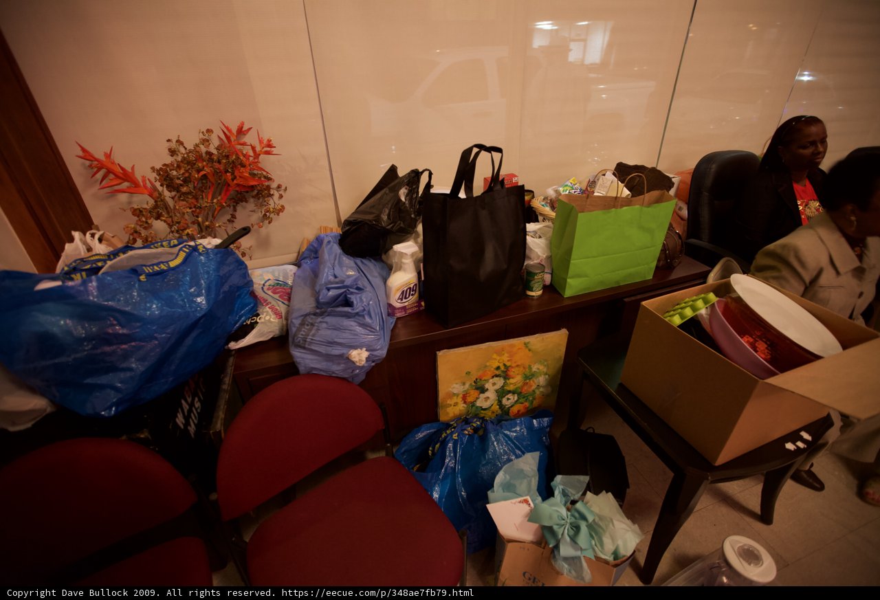 Woman with Bags and Purse in Flower-Filled Room
