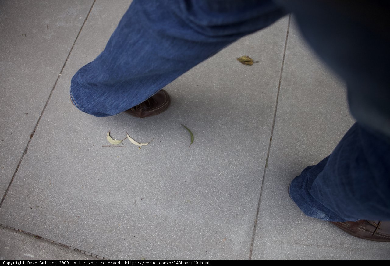 The Lone Shoe