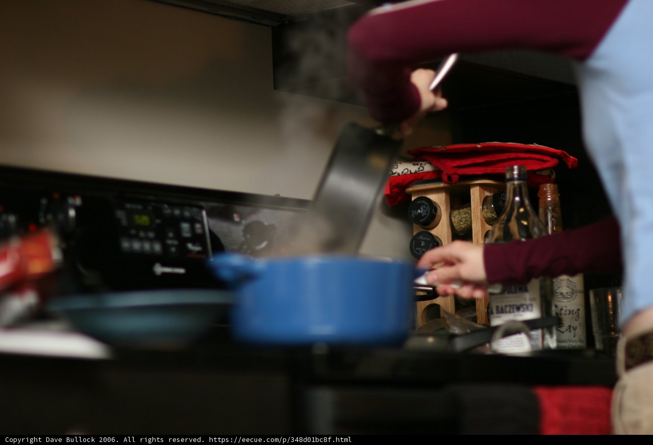 Master Chef in Action