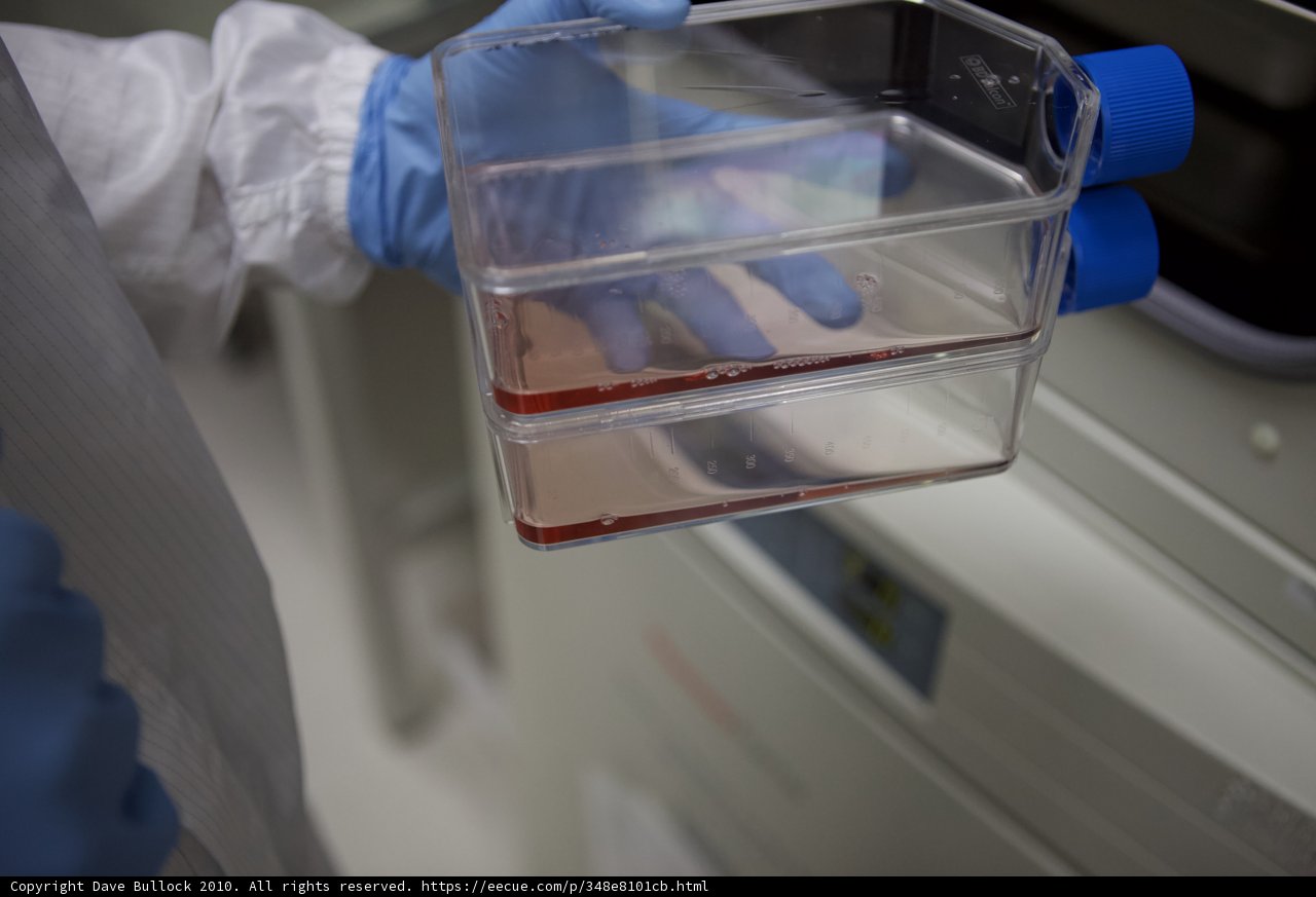 Red Liquid Experiment in the Lab