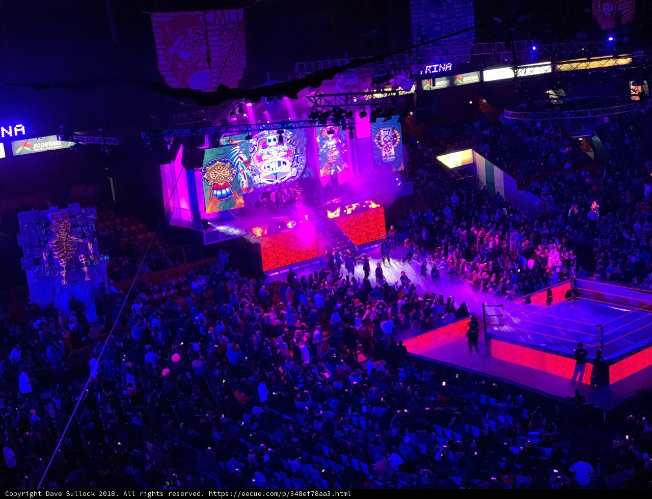 Wrestling Fever