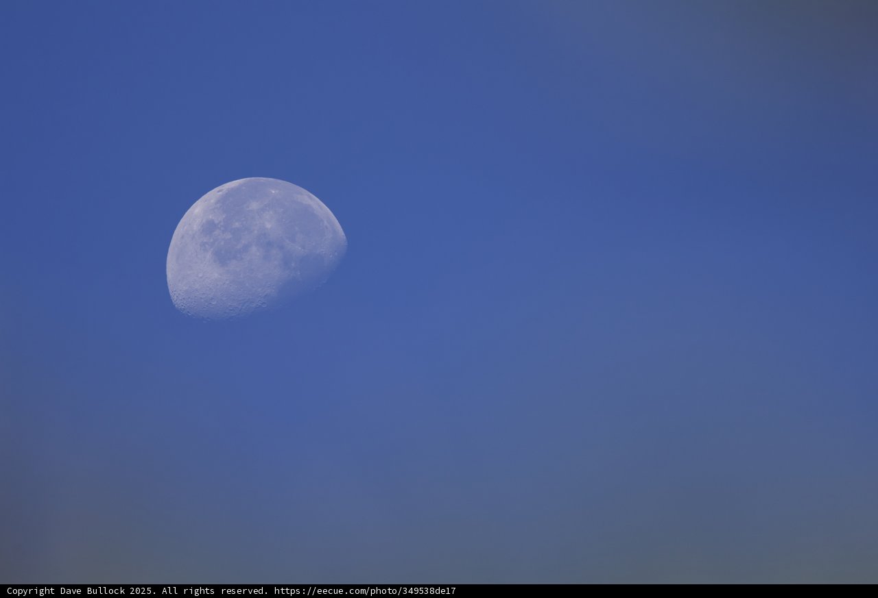 Tranquil Moonrise