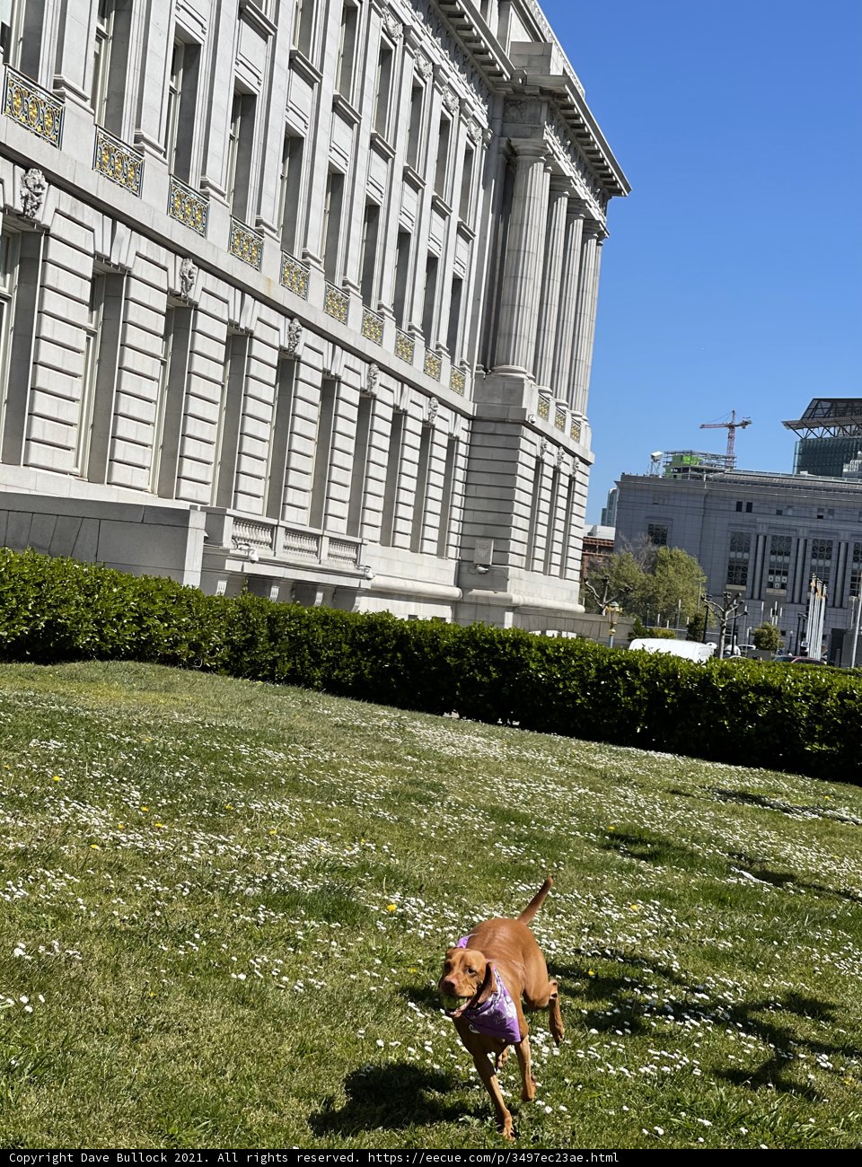 Playtime at San Francisco City Hall