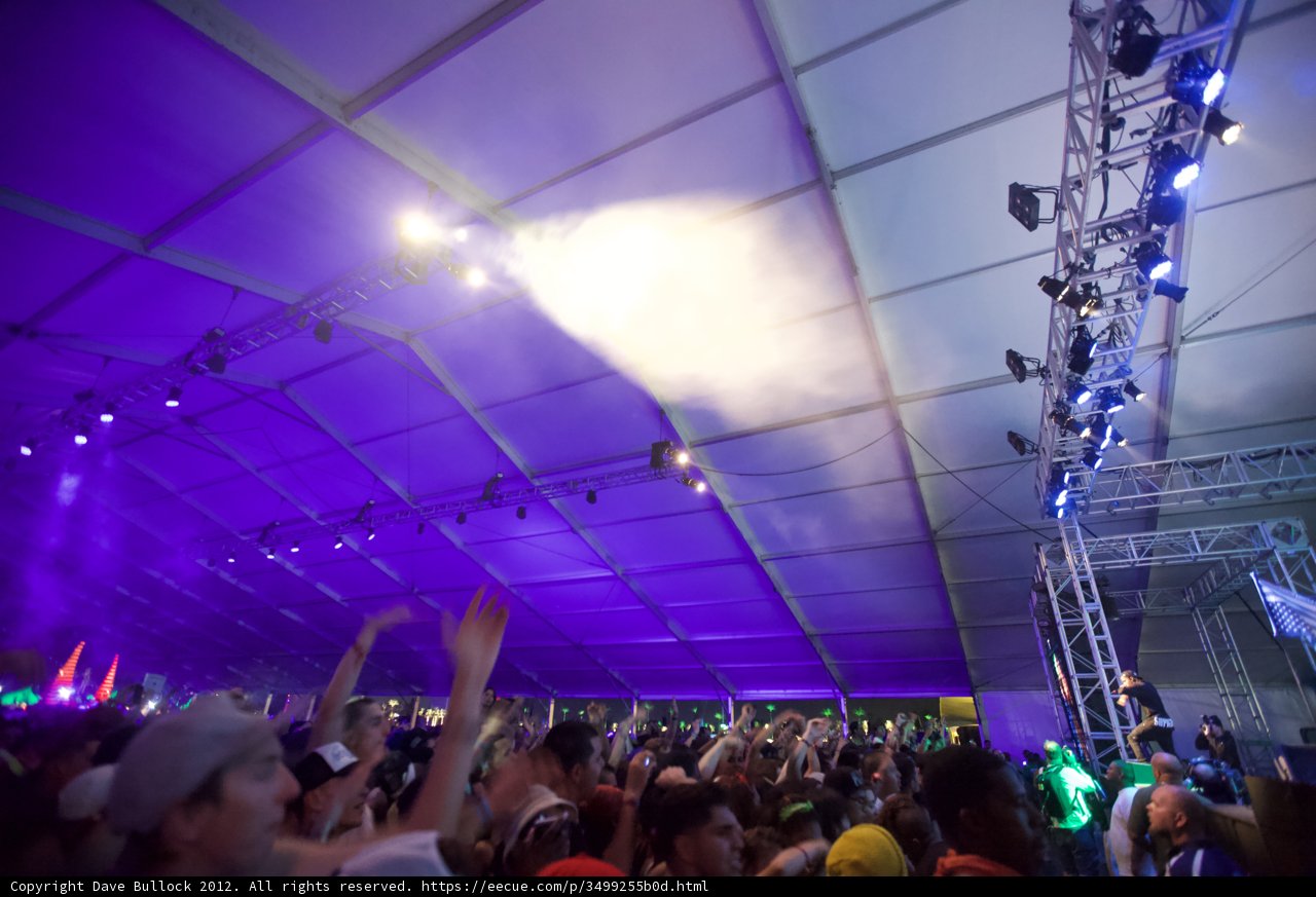 Purple Haze at Coachella