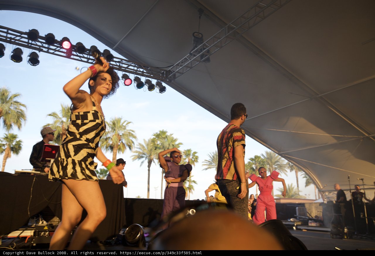 A Dance Under the Palm Trees