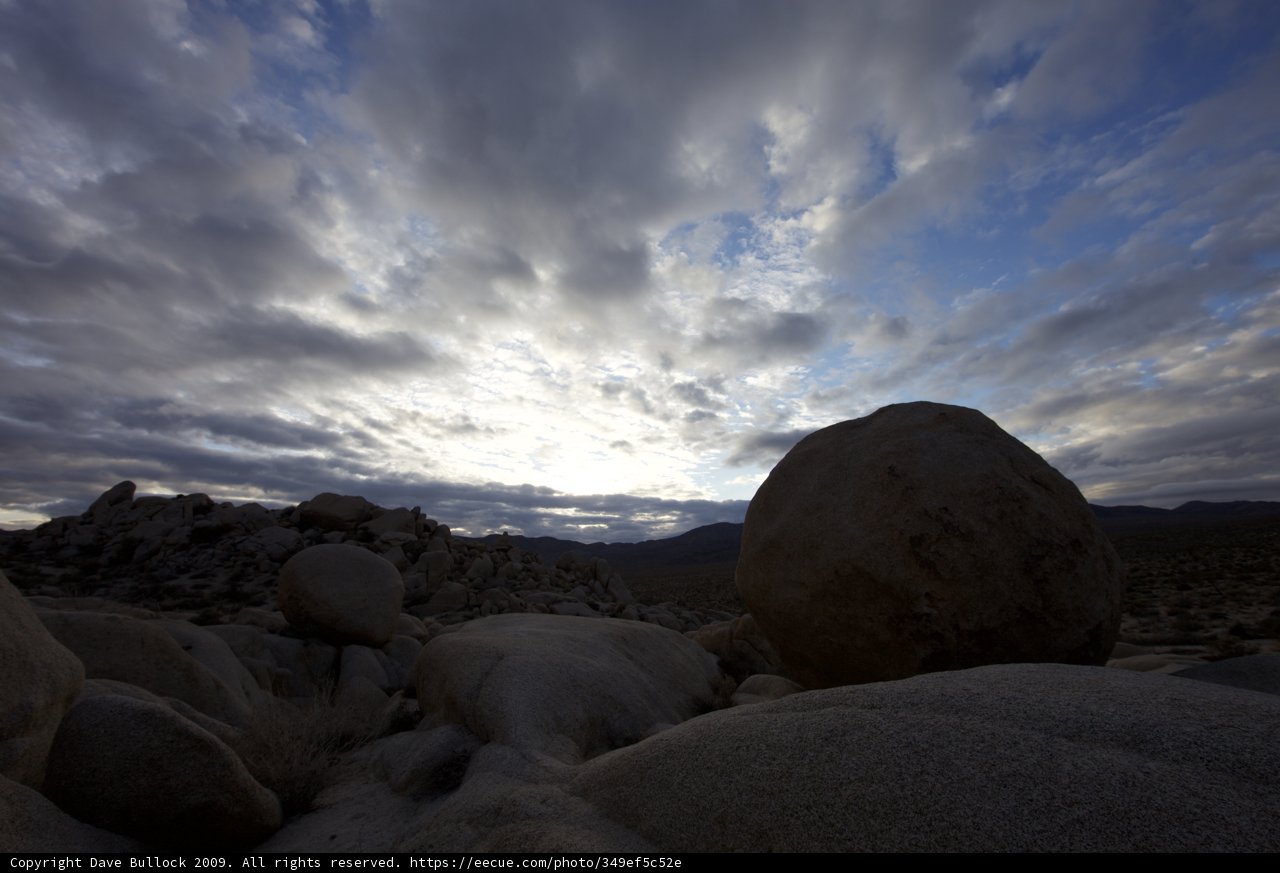 Captivating Solitude