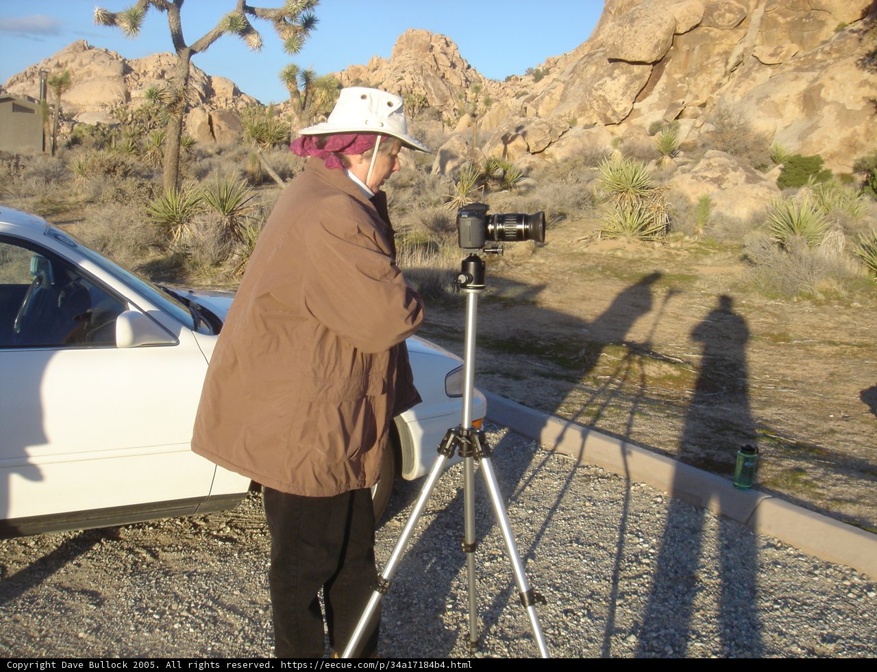 Capturing the Beauty of a Car
