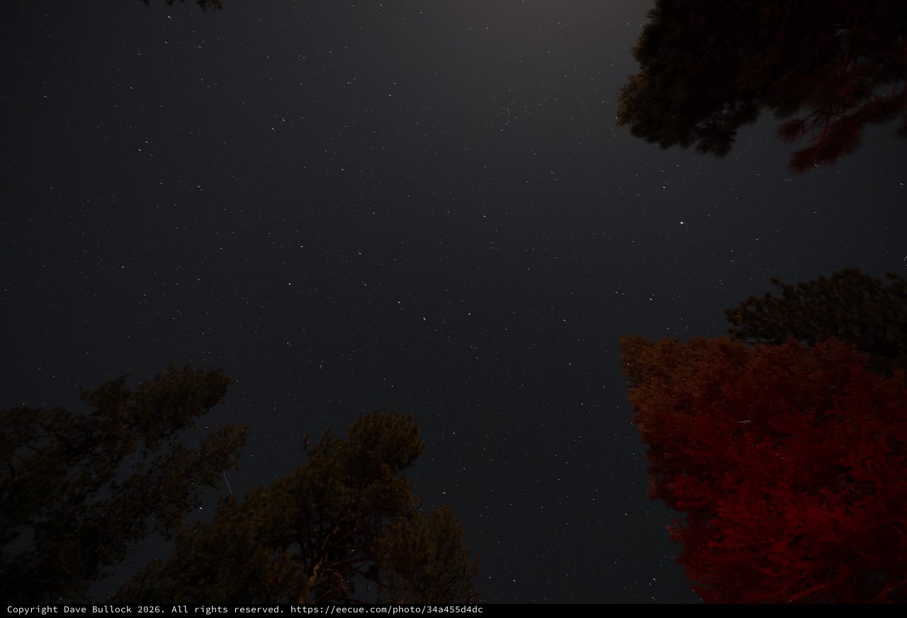 Starlit Sky Over Mount Lassen's Ancient Pines