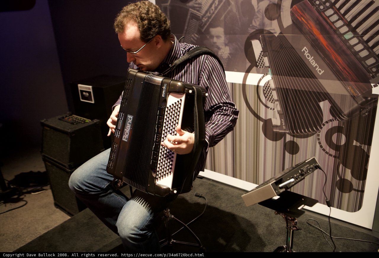 The Accordion Maestro
