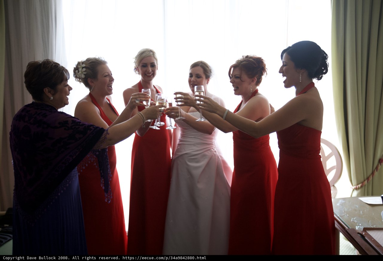 Red Dress Bridesmaids' Toast