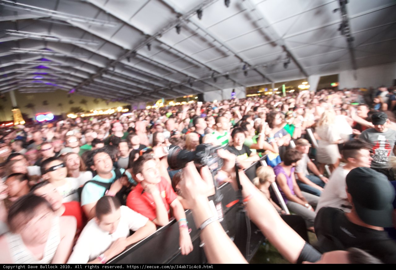 The Ecstatic Crowd at Coachella 2010