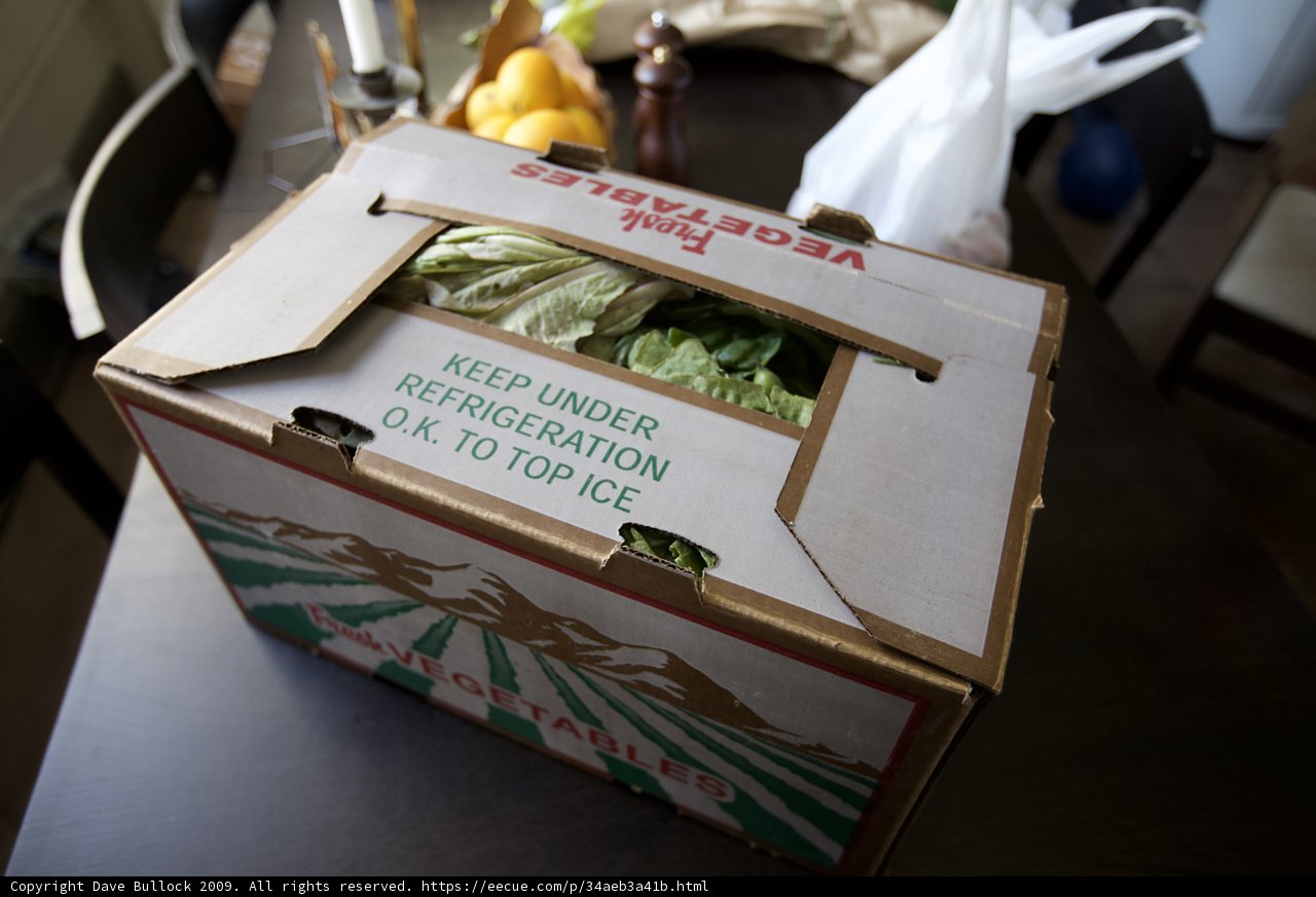 Fresh Lettuce in a Sturdy Carton