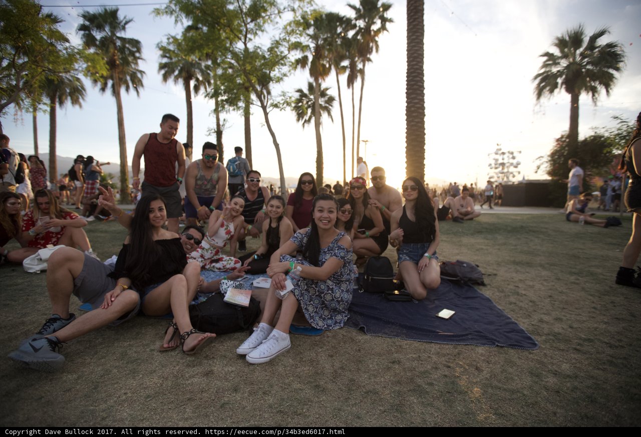 A Summer Picnic at Coachella