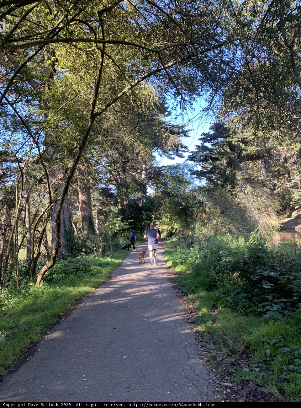 Stroll Through the Park