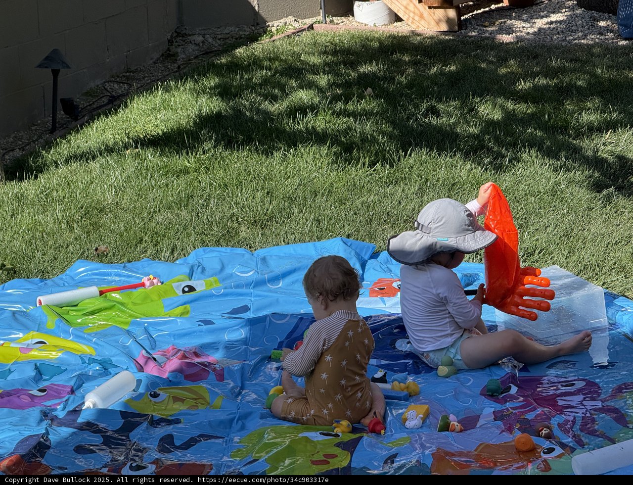 Summer Playtime Bliss
