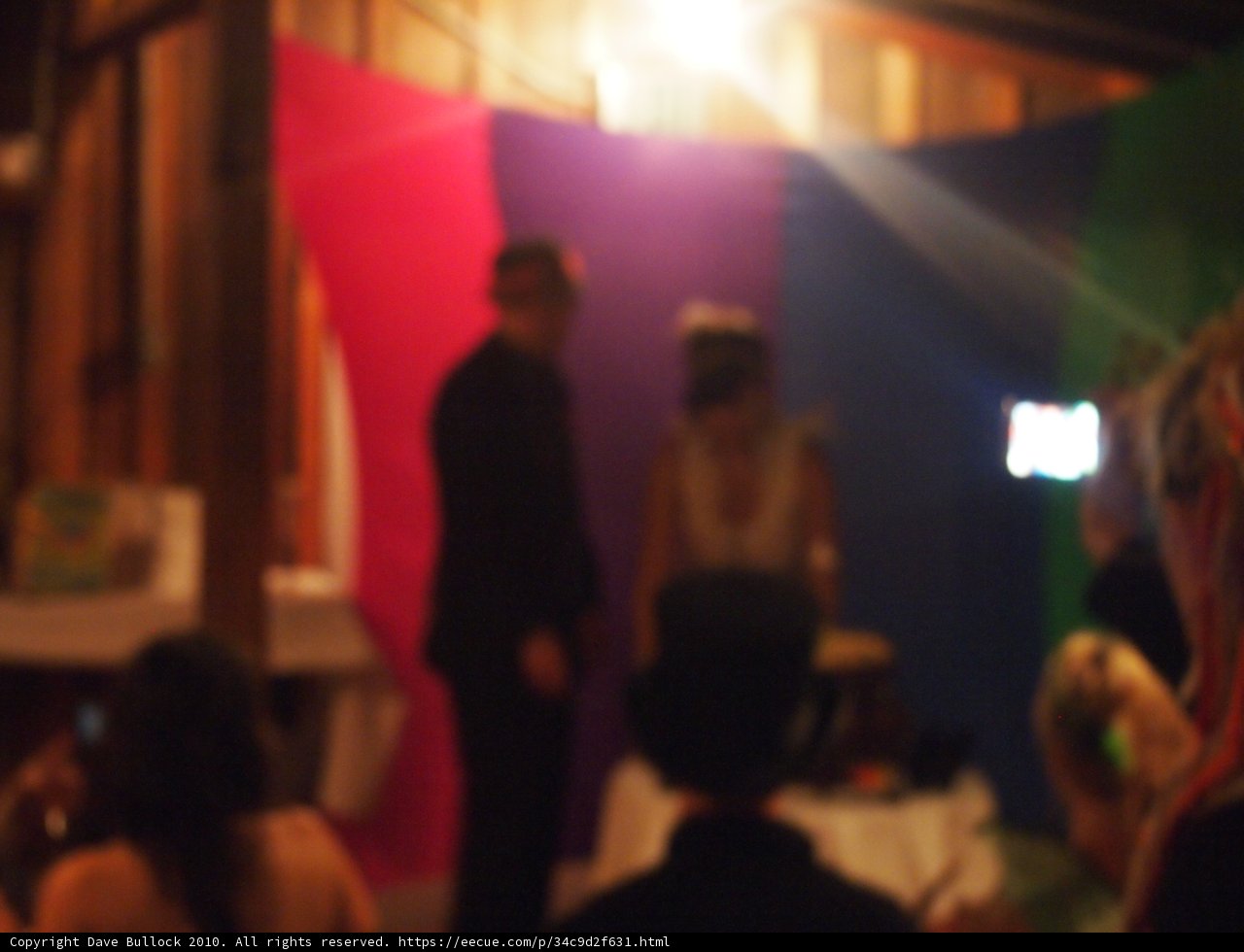 Blurry Lovebirds