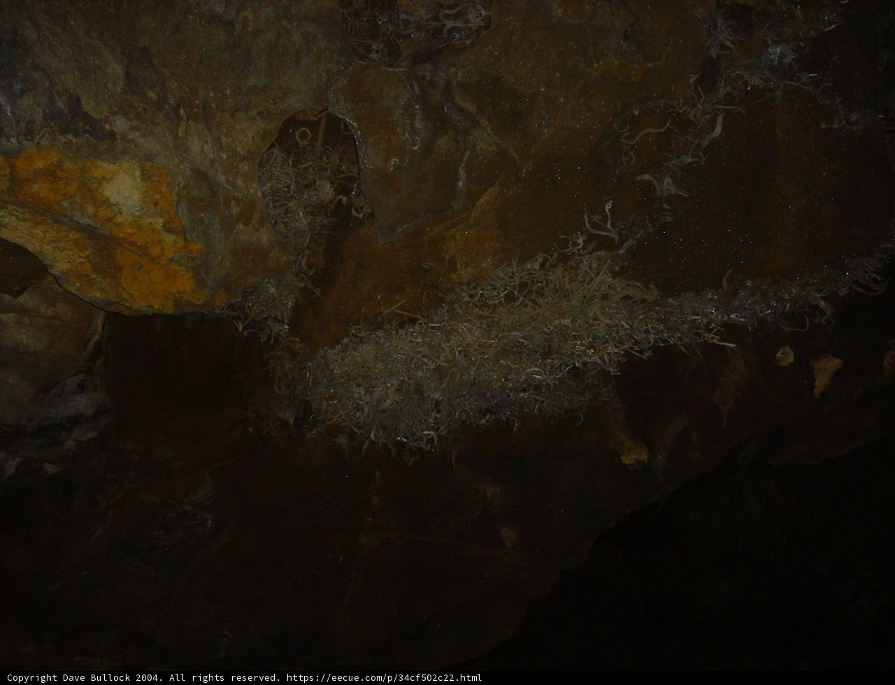 Mossy Rock Wall in the depths of Nature's Cave