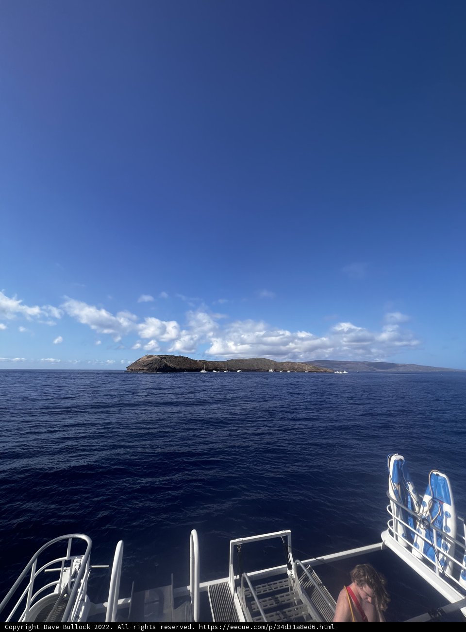 Serenity at Sea