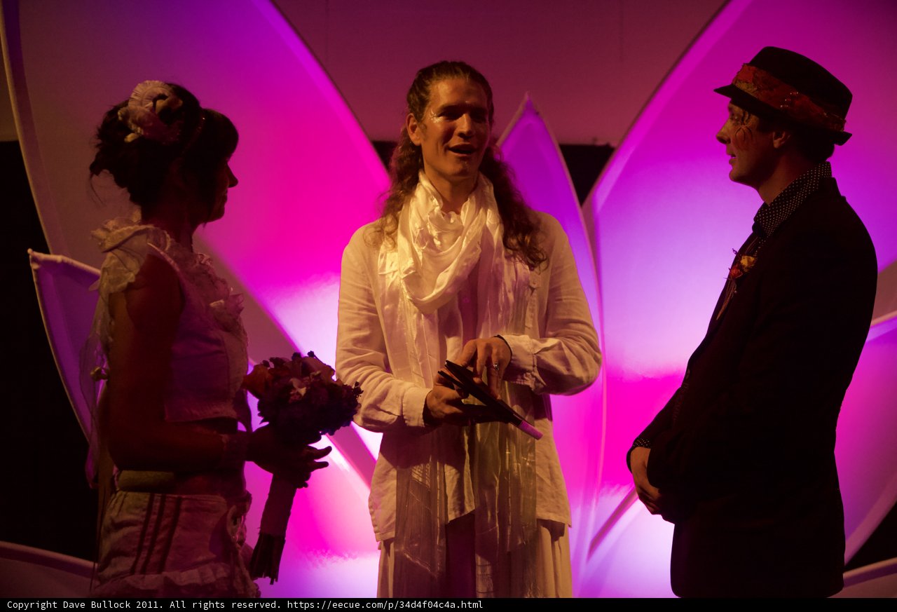 Purple Dreams at the Wickstrom Wedding