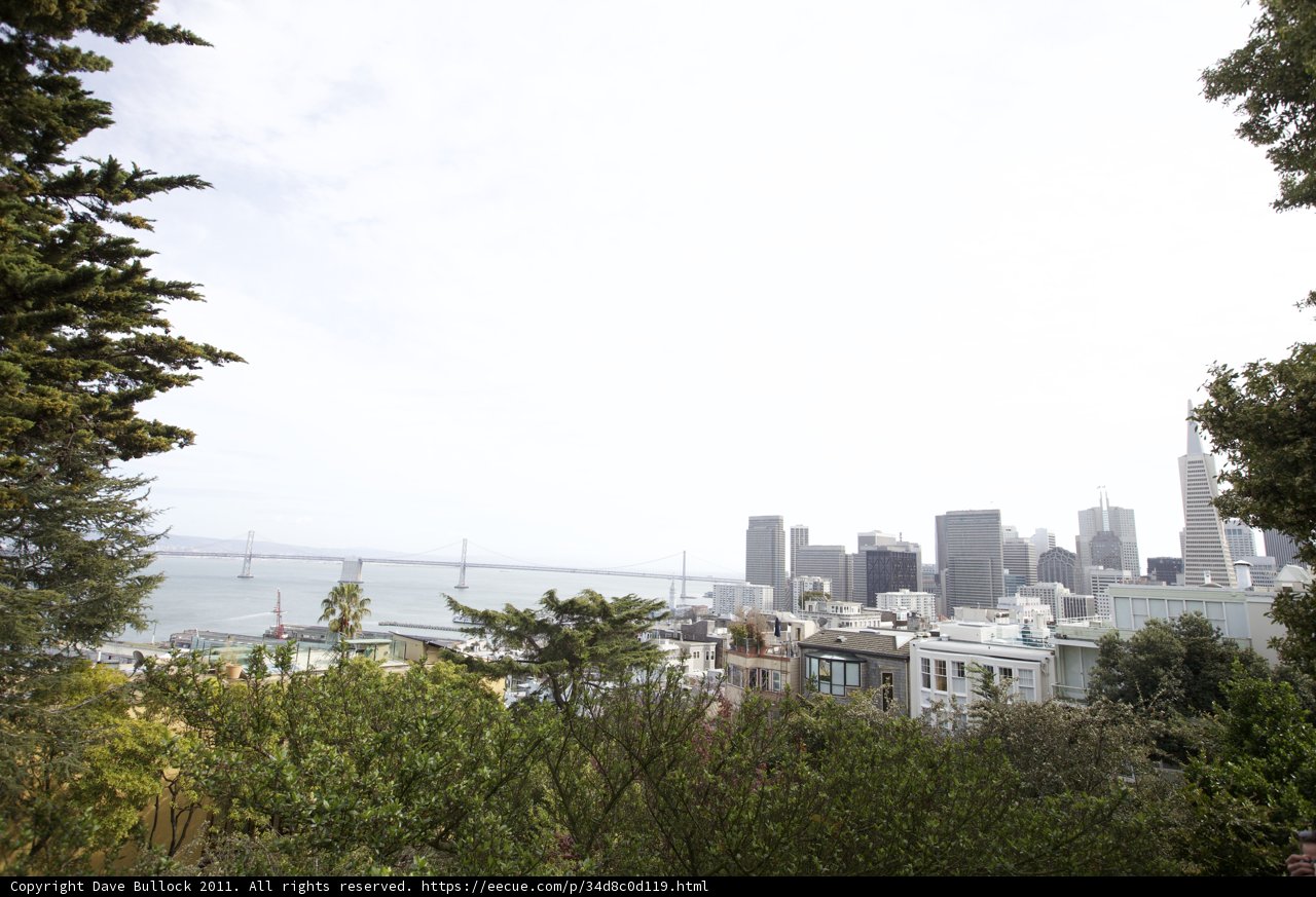 Overlooking the Urban Metropolis