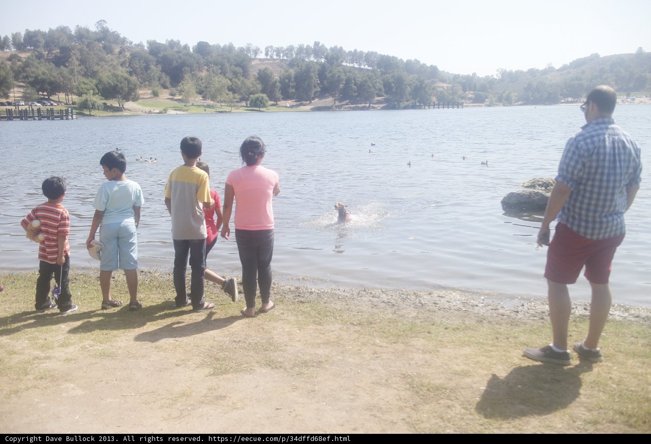 A Summer Day by the Lake