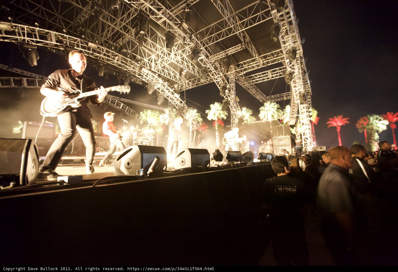 Coachella Nights