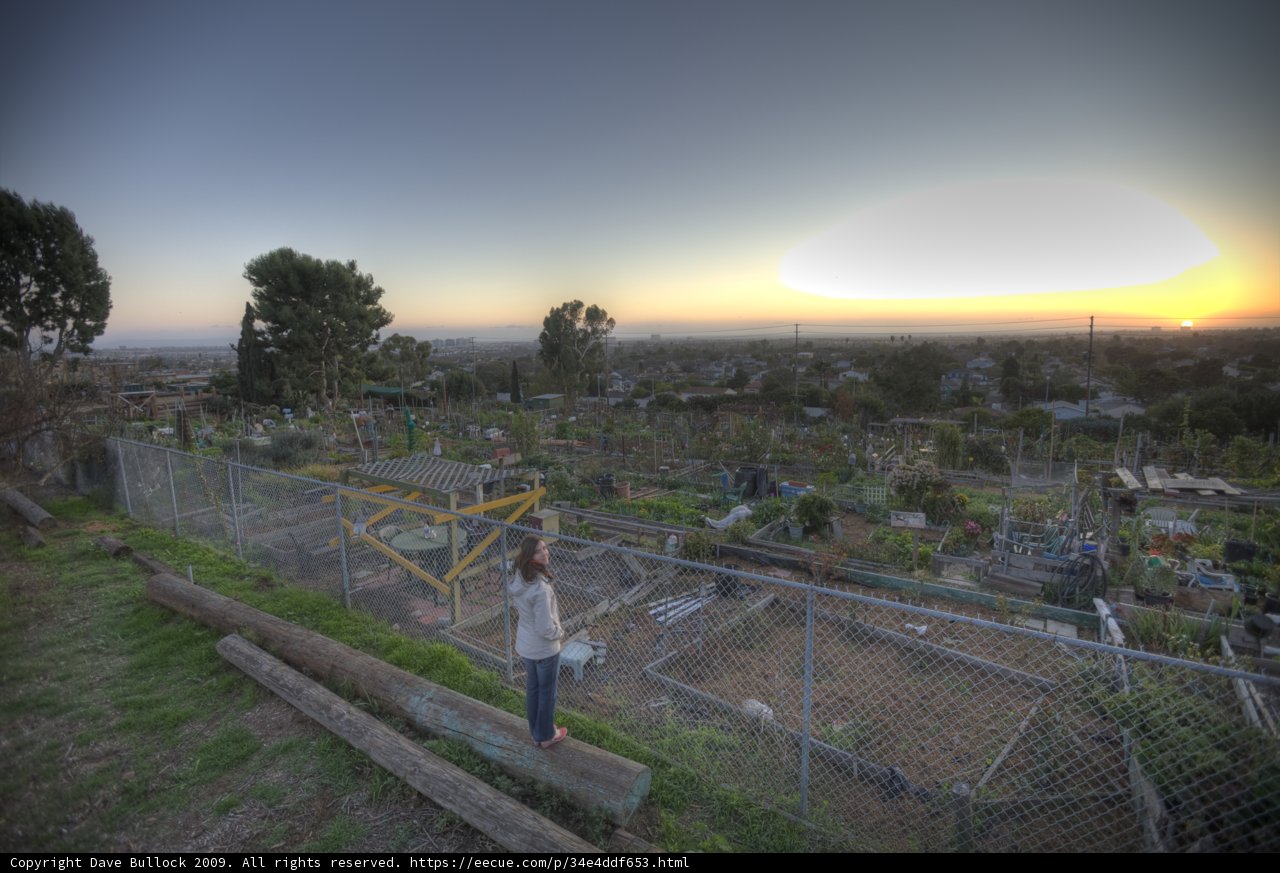 Woman Contemplating the Sunset from a Fence