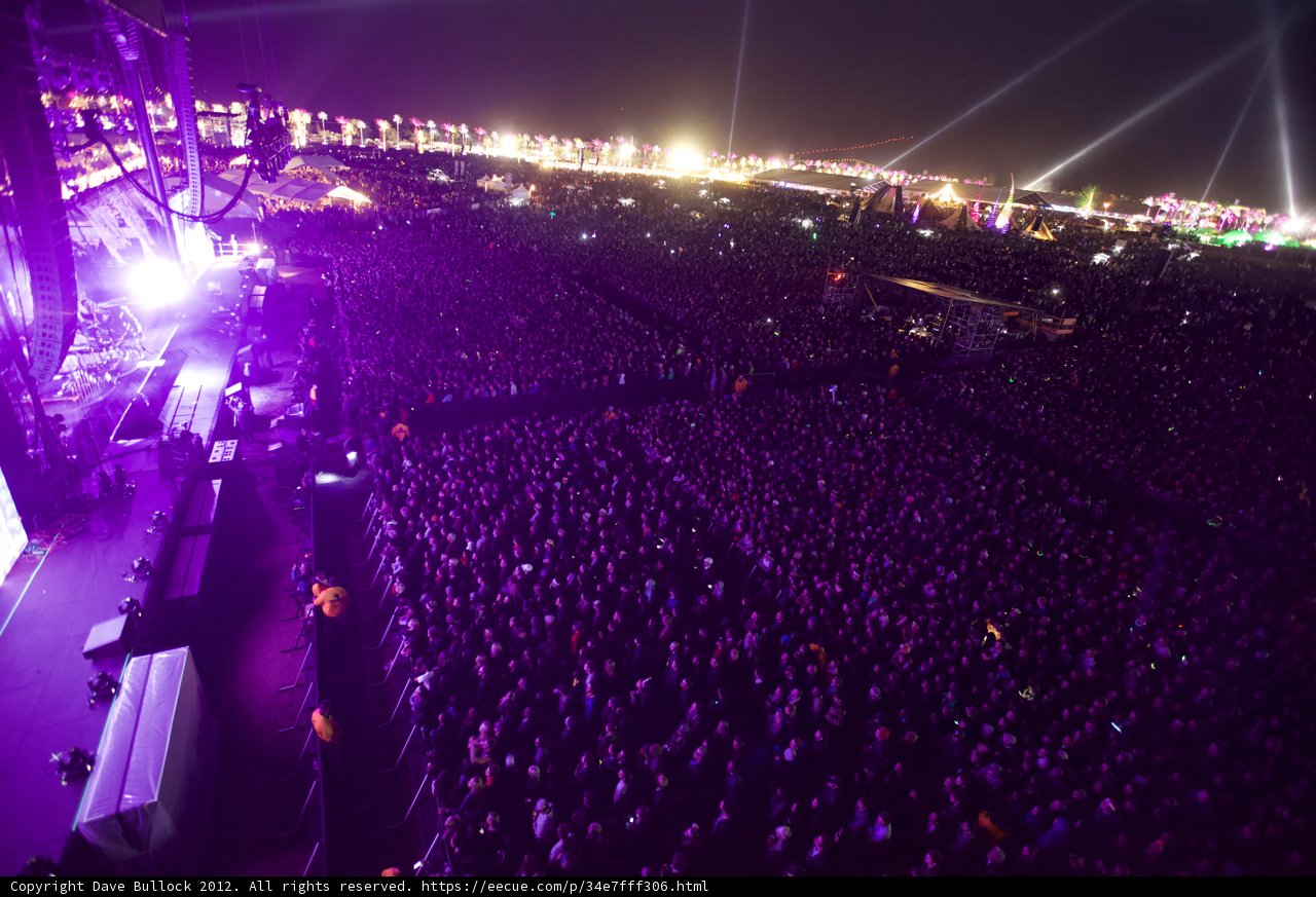 Purple Haze