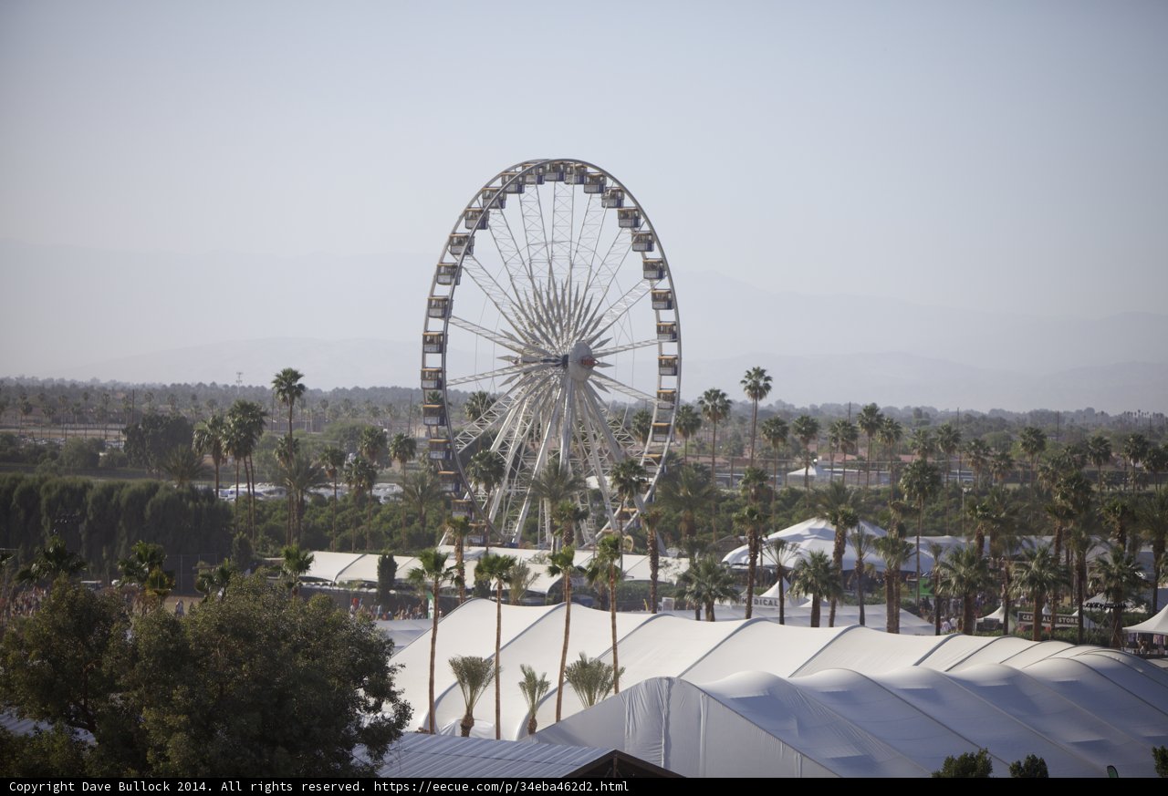 Ferris Wheel Fun at Coachella