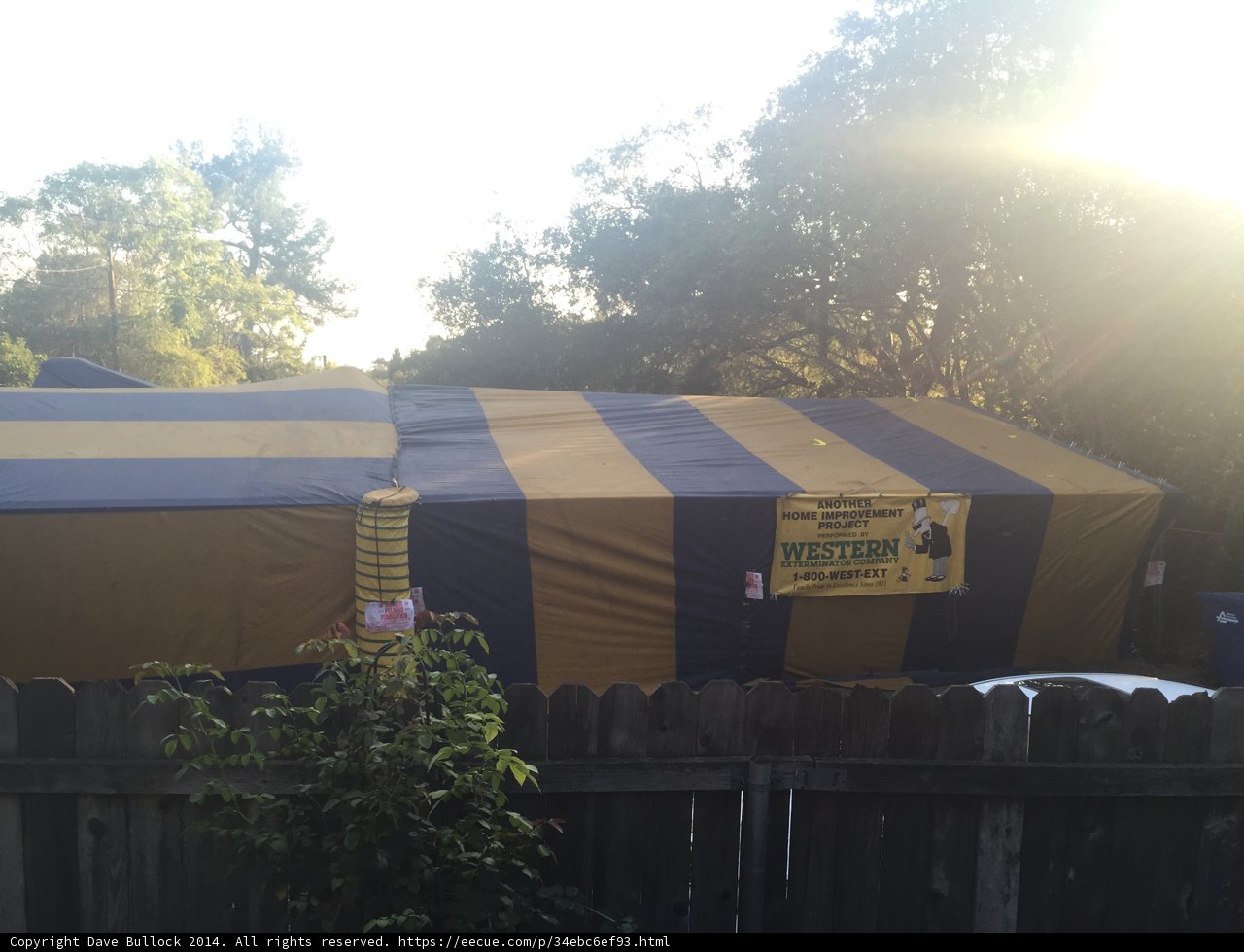 Setting Up Camp in Altadena