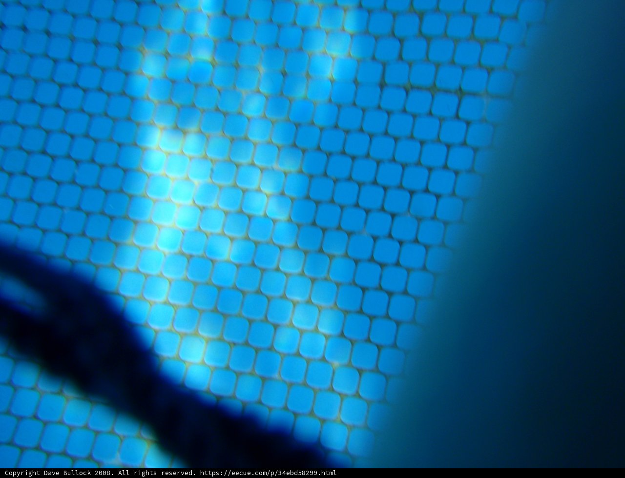 Reflection in Blue