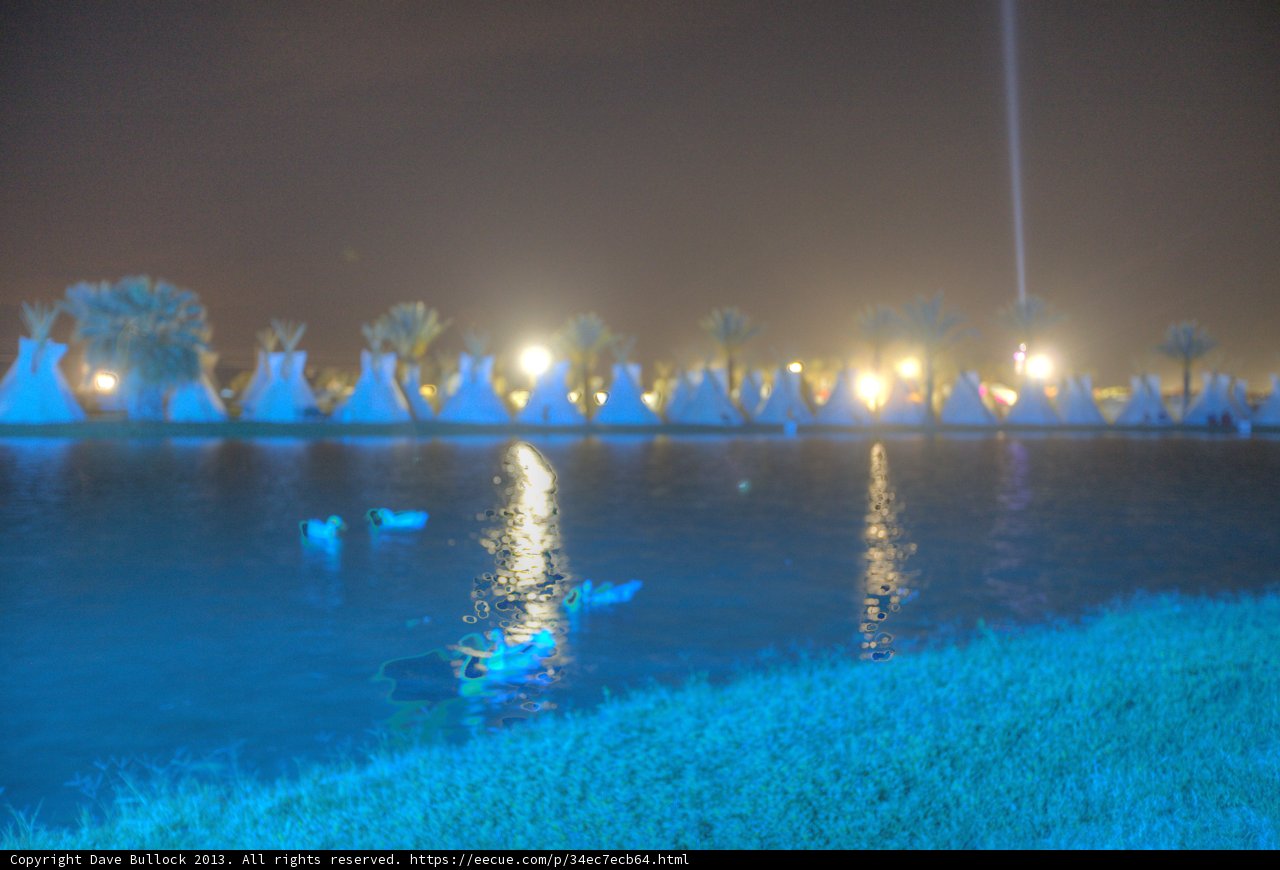 Ducks on the Water