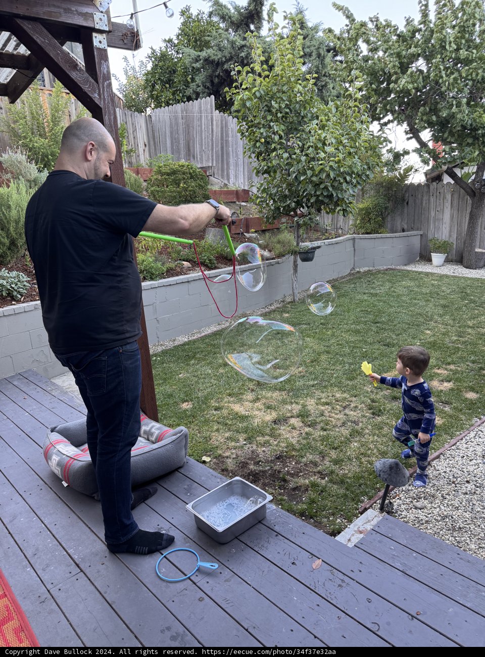 Backyard Bubble Playtime