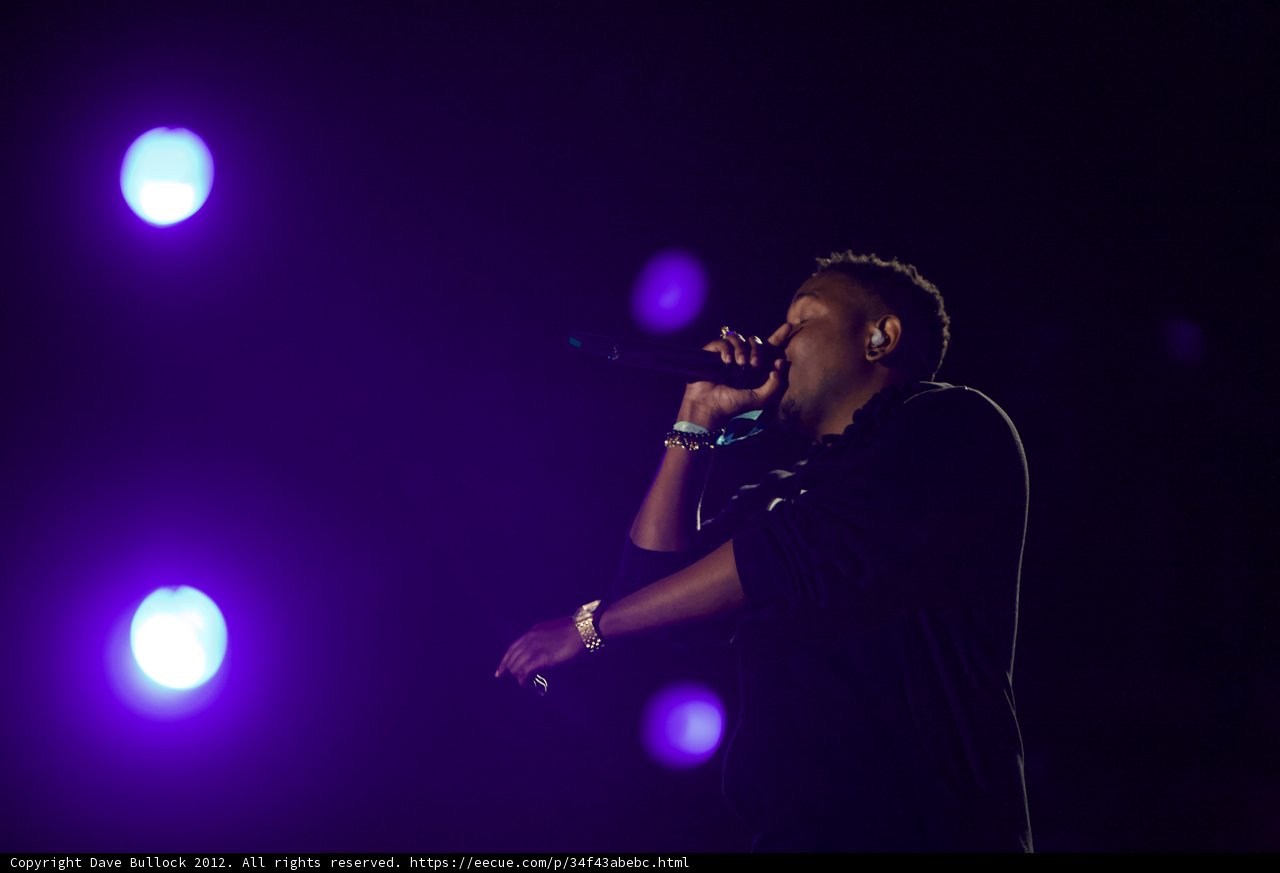 Spotlight on the Solo Artist