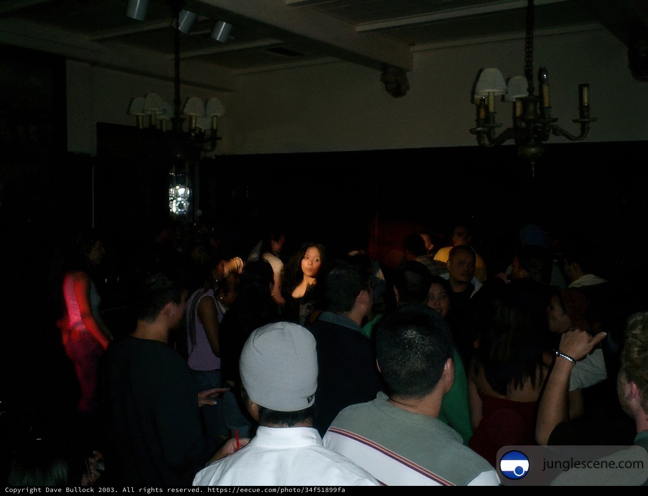 Nightclub Partygoers under a Glowing Chandelier