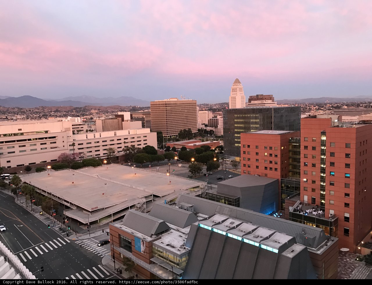 Pink Skies Over the Metropolis