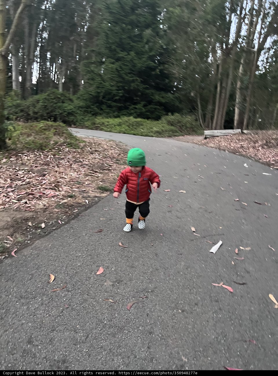 Journey Down the Road Less Traveled