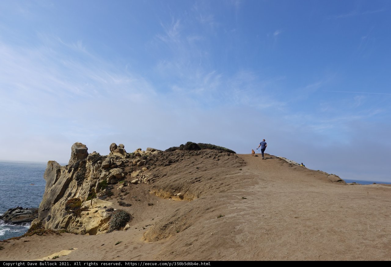 Standing Tall Amidst the Ocean View