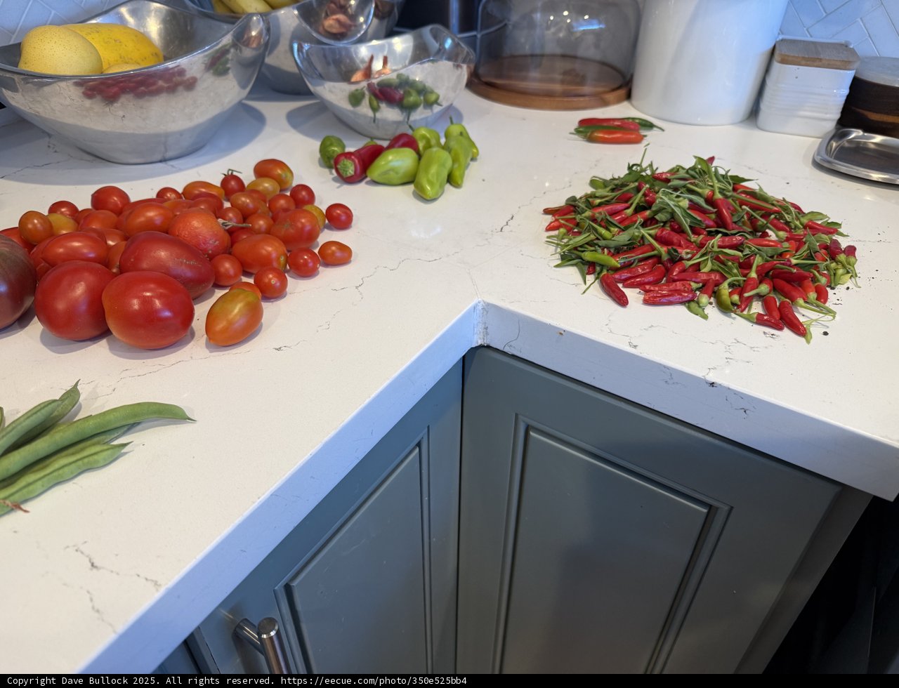 Bountiful Harvest on the Kitchen Counter