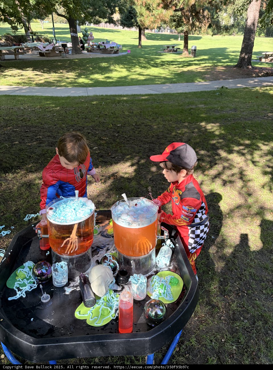 Autumn Adventure at Larkey Park