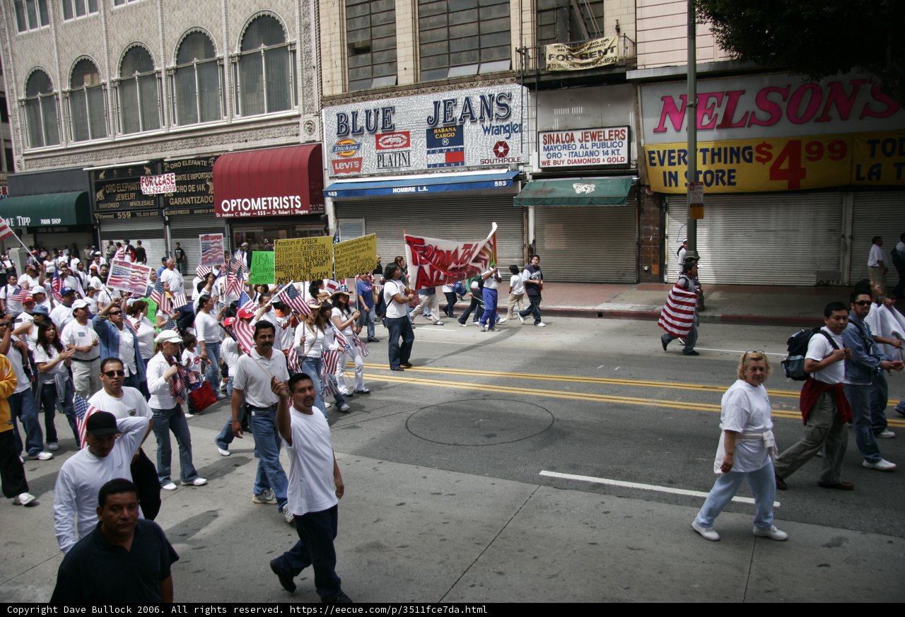 A Crowd Marching Down a Vibrant Urban Street