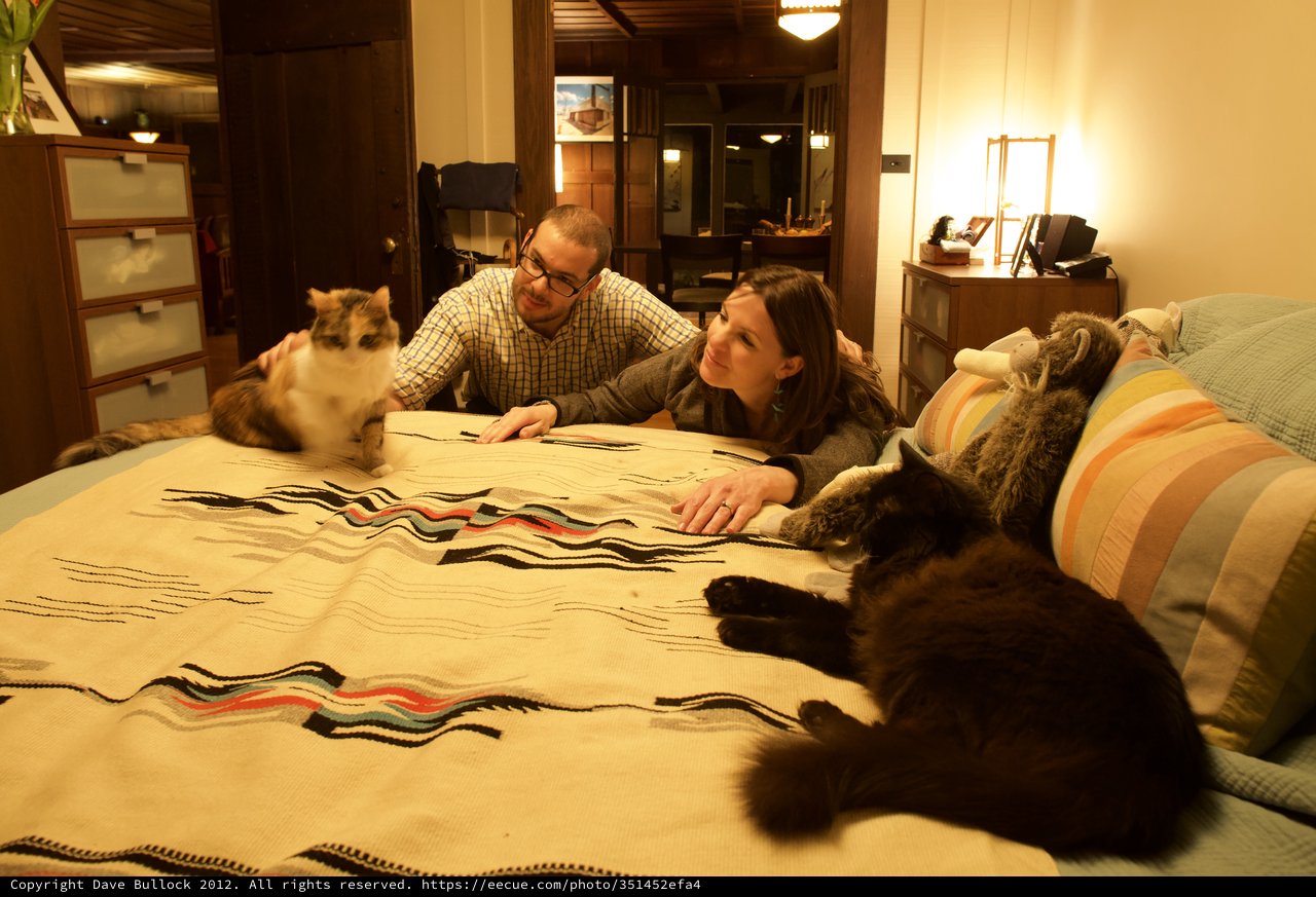 Couple and Their Cats Relaxing on a Cozy Bed