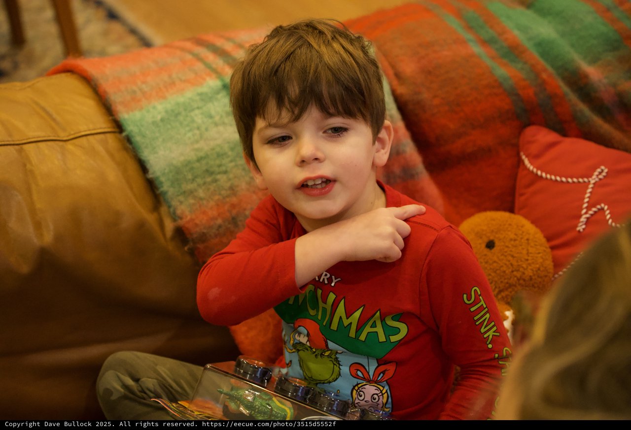 Young Boy in Grinch Pajamas on Christmas