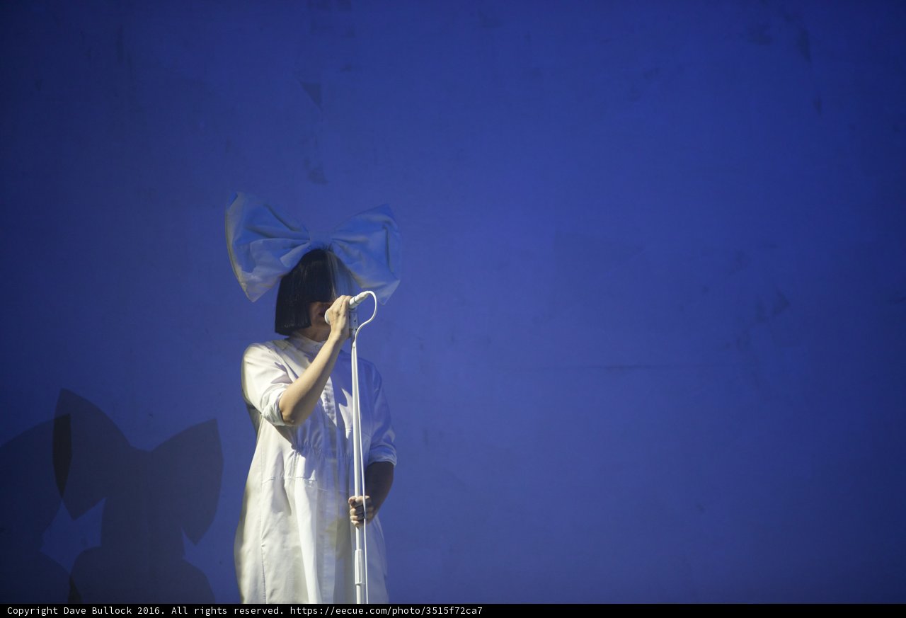 Bow-tiful Performance