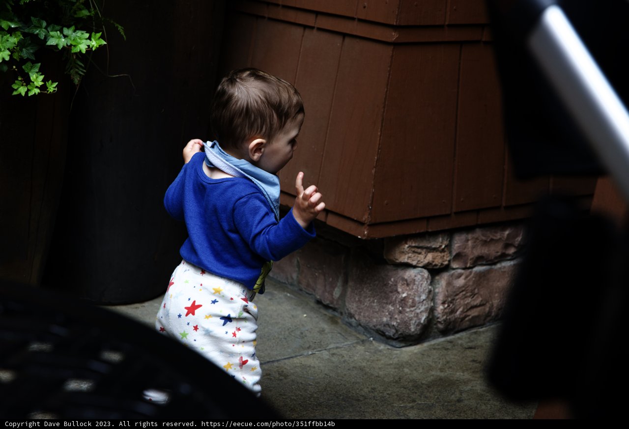 A Stroll Through Disneyland
