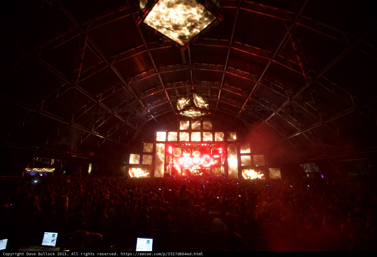 Coachella Crowd Goes Wild