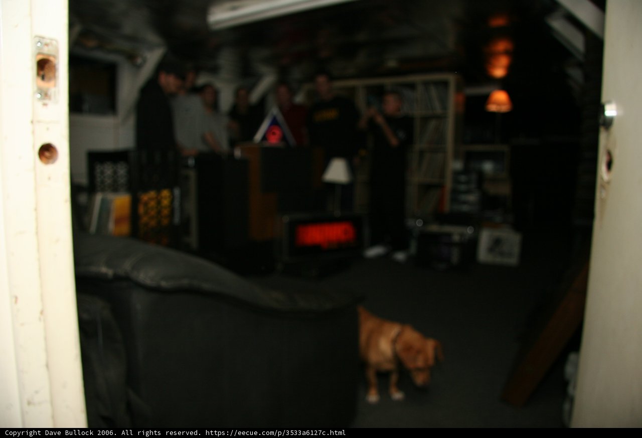 Canine Guest in a Cozy Living Room
