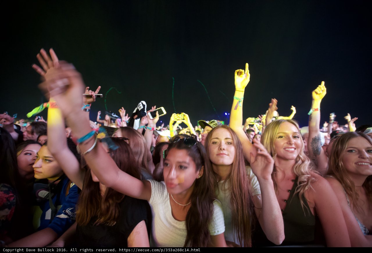 Hands Up in the Night Sky